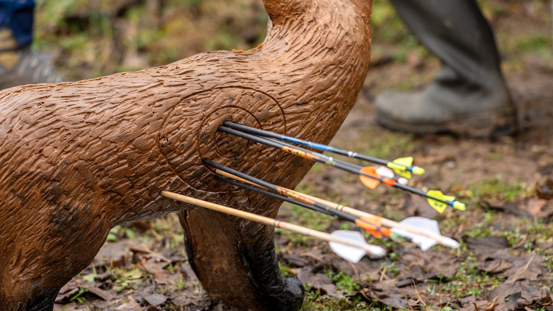 7 Best Broadhead Archery Targets